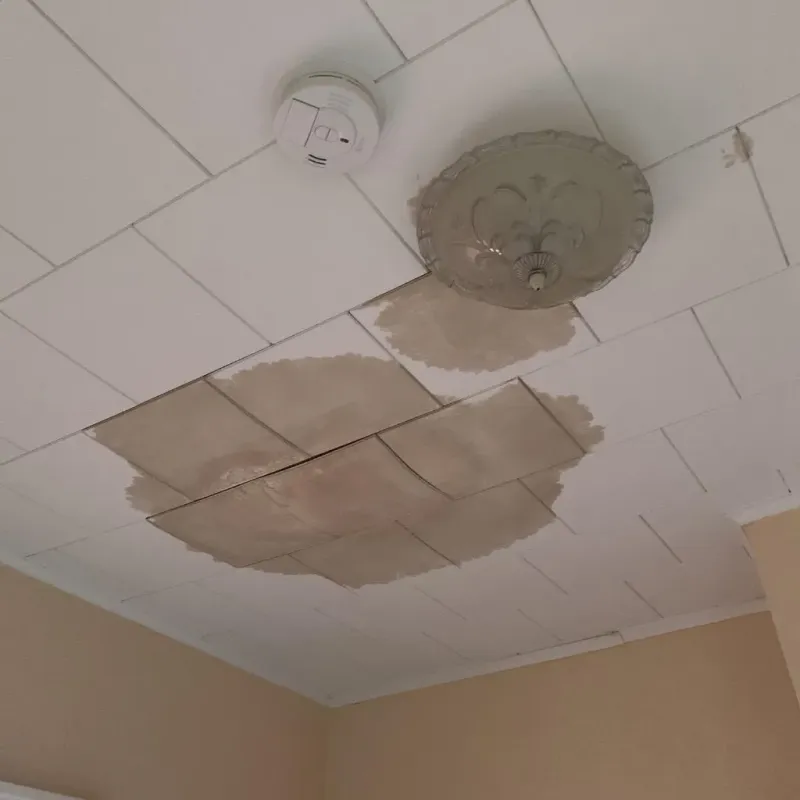 Ceiling Water Damage Repair in Duenweg, MO