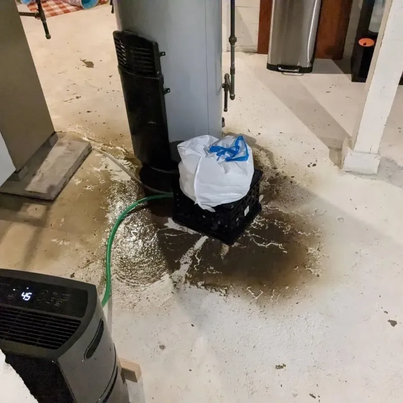 Sewage Backup Cleanup Service in Duenweg, MO